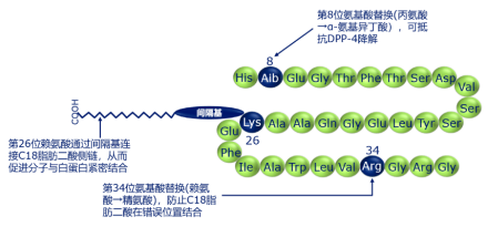 GLP-1氨基酸序列具有94%同源性
